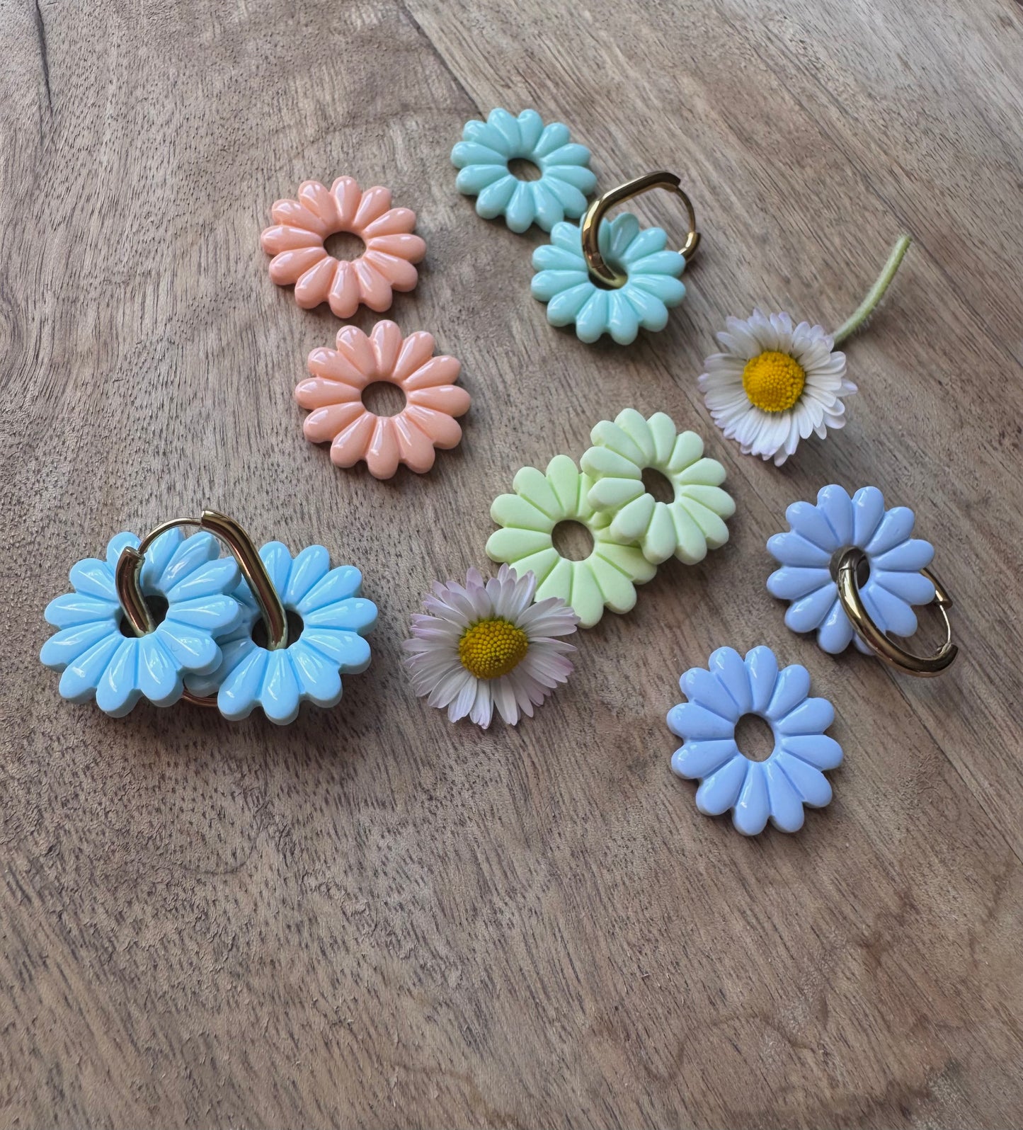 JARDIN PÂQUERETTES 🌼