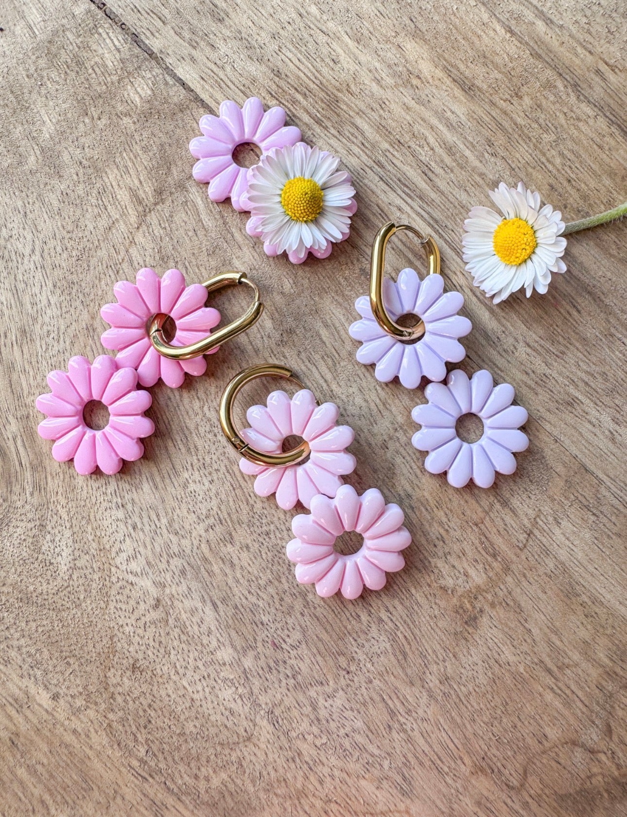 JARDIN PÂQUERETTES 🌼