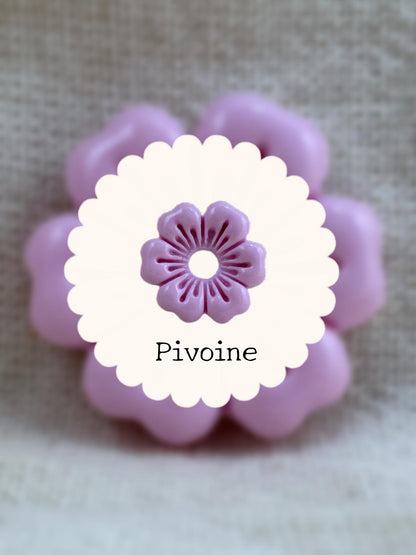 Palette de "VIOLETS"