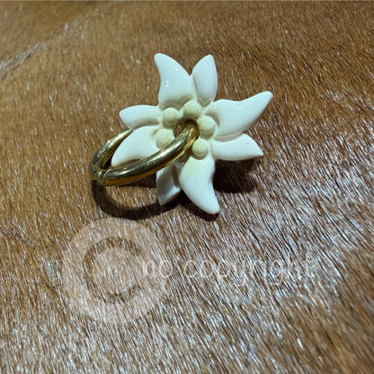 L’EDELWEISS